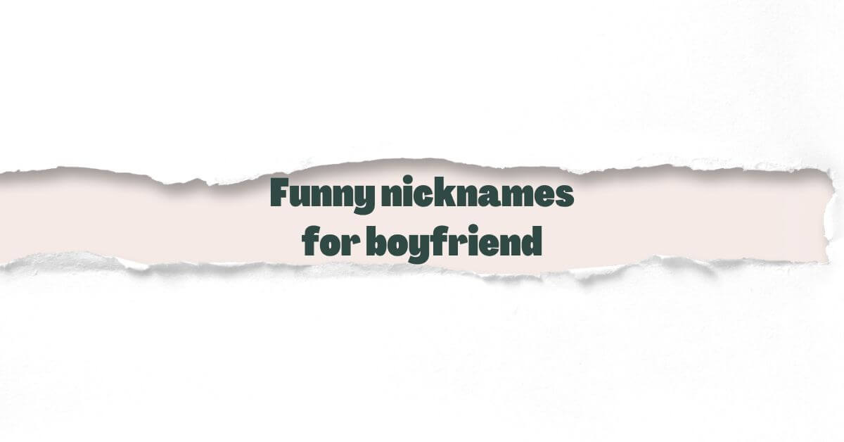 Funny nicknames for boyfriend