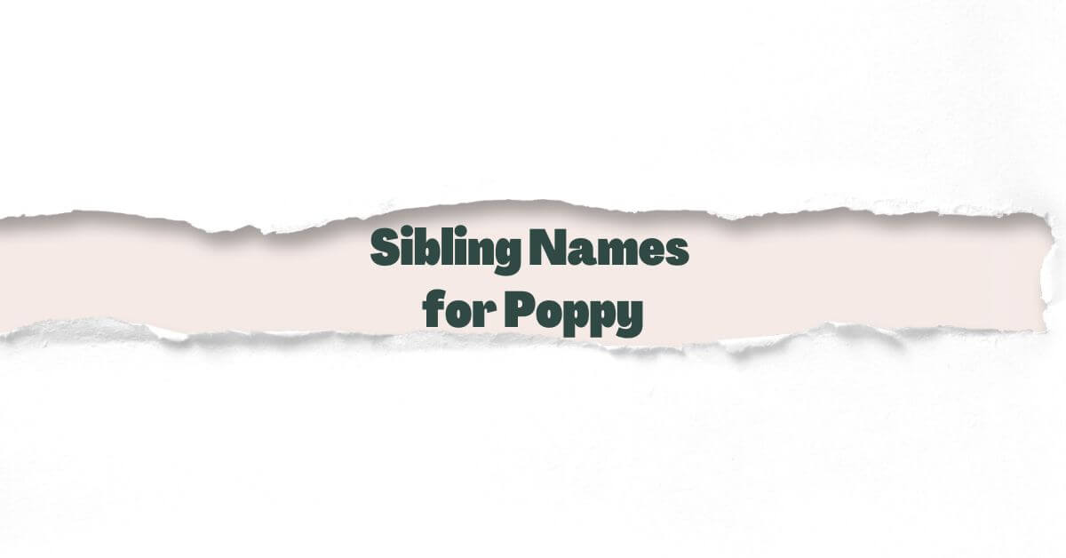 Sibling Names For Poppy