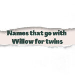 Names that go with Willow for twins
